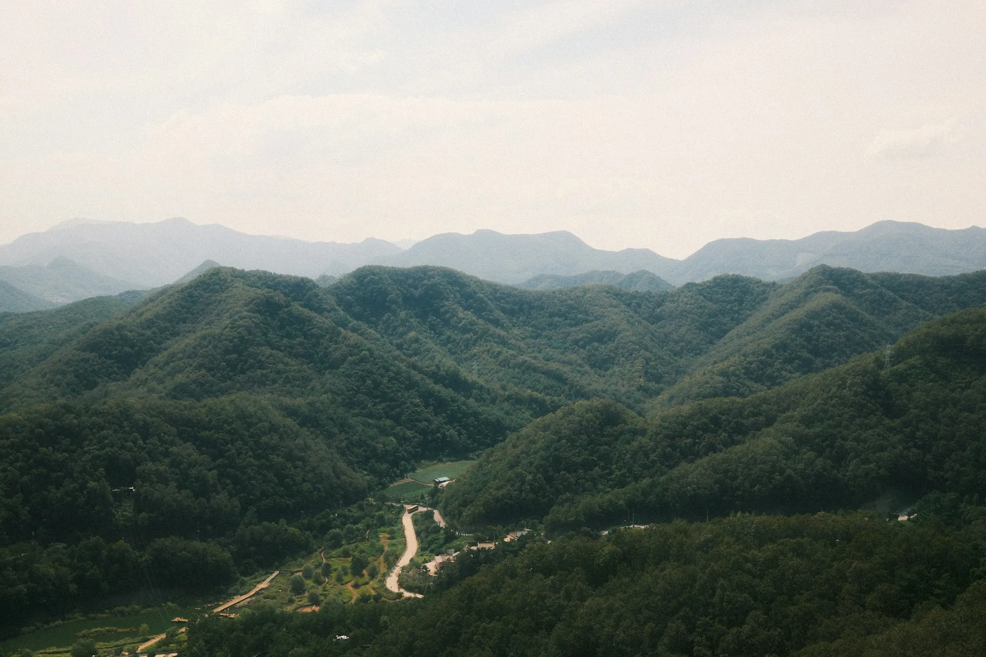 A road winding along a valley floor between dense green forested hills