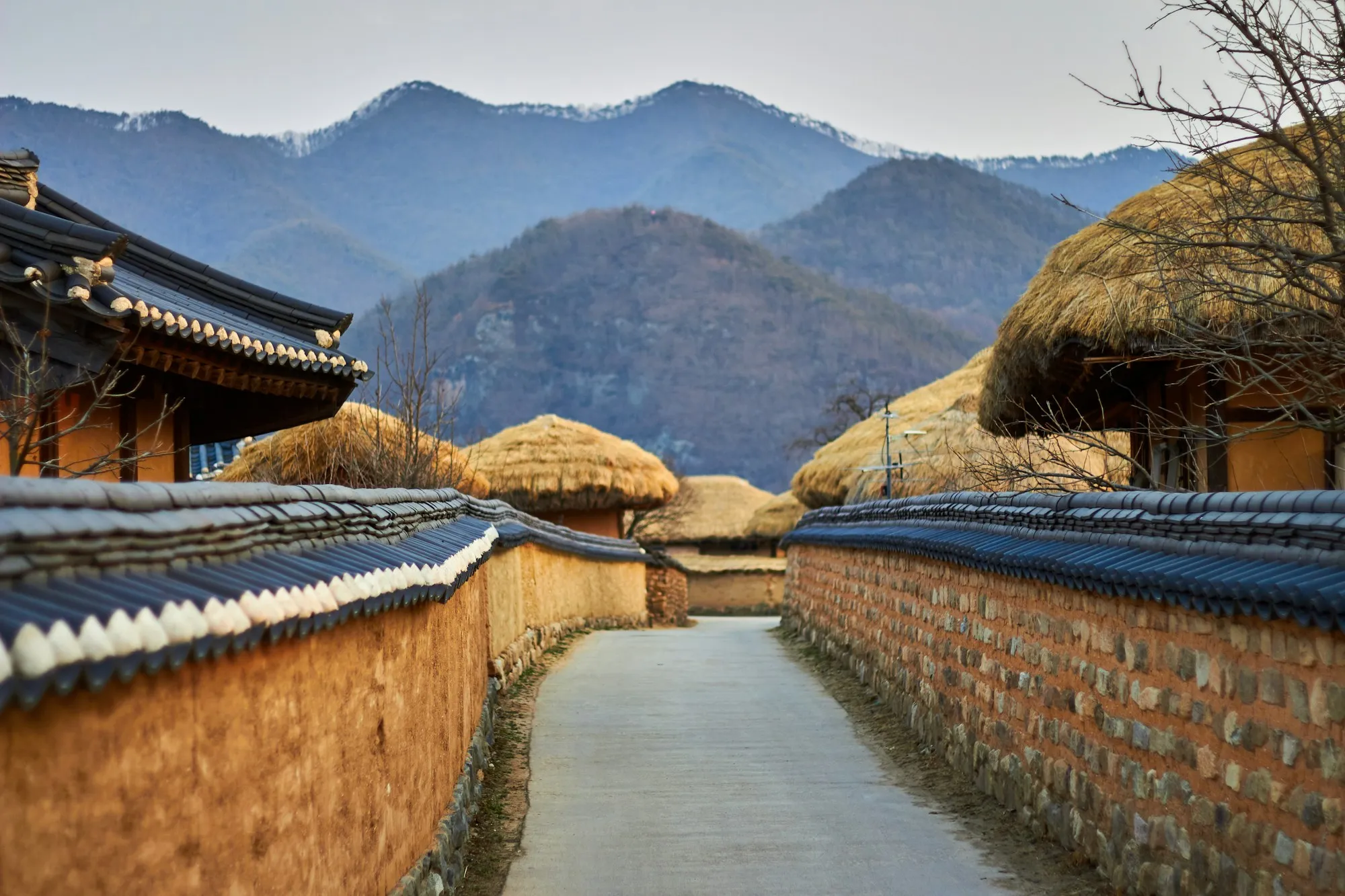 Wooden houses with tiled and thatched roofs, with forested mountains behind